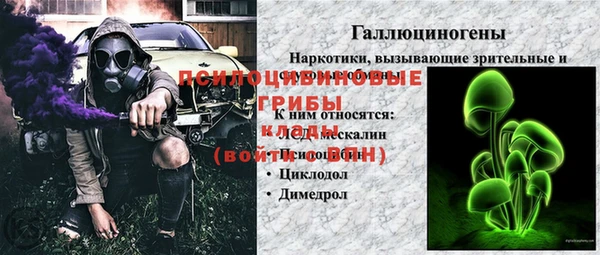 гашик Нефтегорск