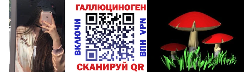 Галлюциногенные грибы Psilocybe  Купить где  Владивосток 